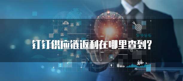 钉钉供应链返利在哪里查到?