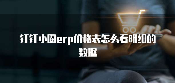 钉钉小圈erp价格表怎么看明细的数据