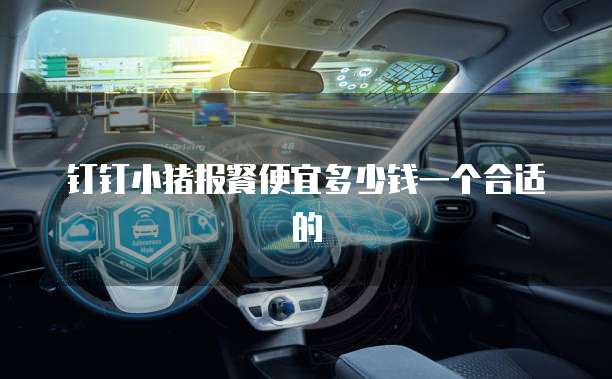 钉钉小猪报餐便宜多少钱一个合适的