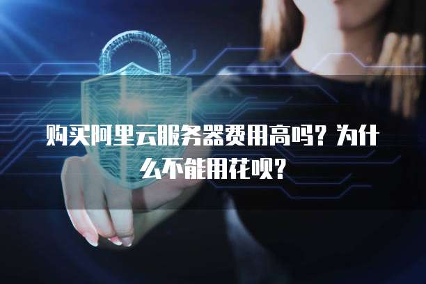 购买阿里云服务器费用高吗?为什么不能用花呗?