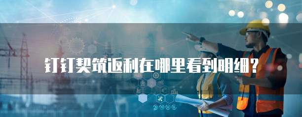 钉钉契筑返利在哪里看到明细?