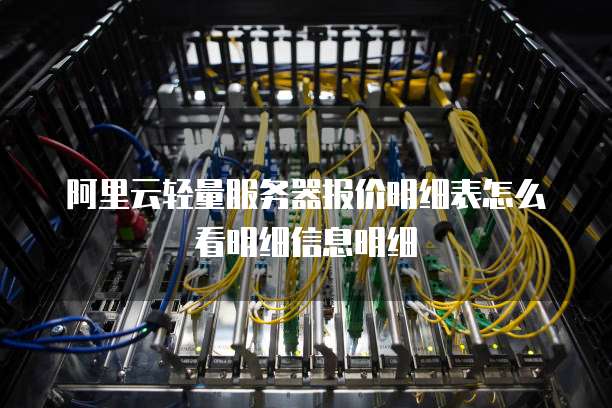 阿里云轻量服务器报价明细表怎么看明细信息明细