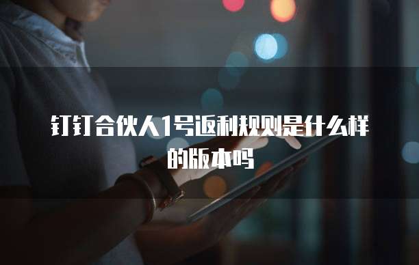 钉钉合伙人1号返利规则是什么样的版本吗