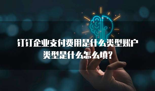 钉钉企业支付费用是什么类型账户类型是什么怎么填?