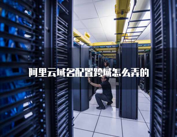 阿里云域名配置跨域怎么弄的