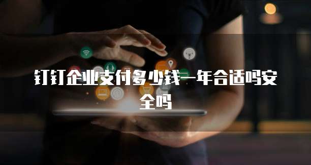 钉钉企业支付多少钱一年合适吗安全吗