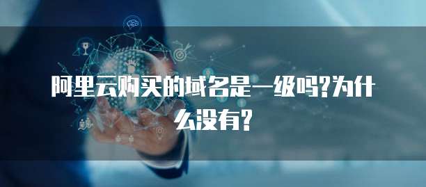 阿里云购买的域名是一级吗?为什么没有?