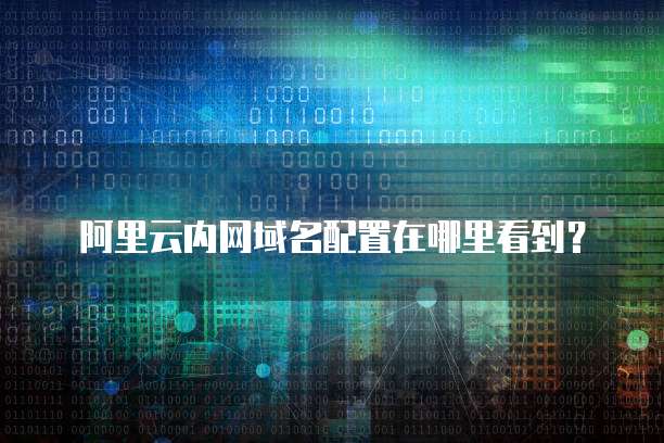 阿里云内网域名配置在哪里看到？