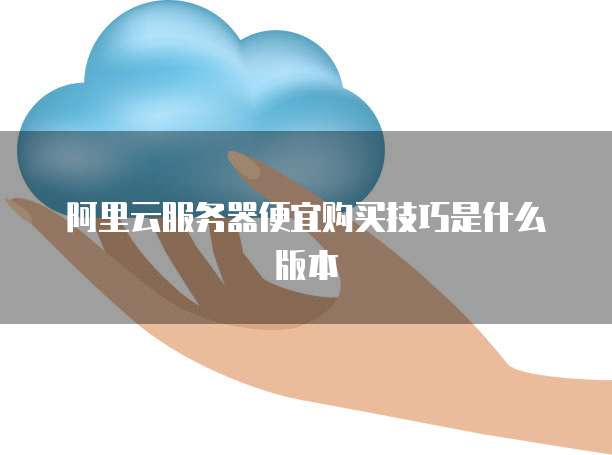 阿里云服务器便宜购买技巧是什么版本