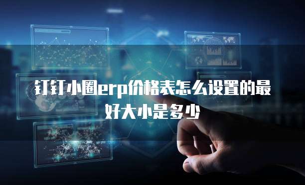 钉钉小圈erp价格表怎么设置的最好大小是多少