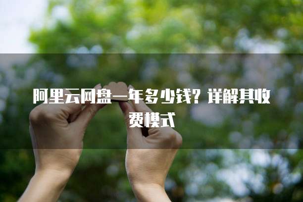 阿里云网盘一年多少钱?详解其收费模式