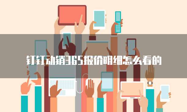 钉钉动销365报价明细怎么看的