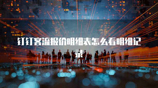 钉钉客流报价明细表怎么看明细记录