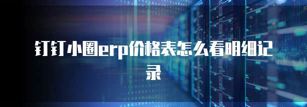 钉钉小圈ERP价格表怎么看明细记录
