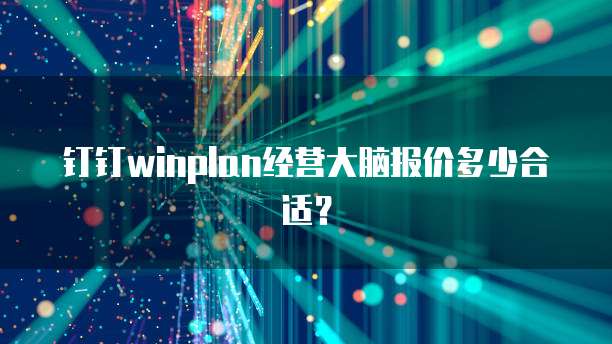 钉钉winplan经营大脑报价多少合适？