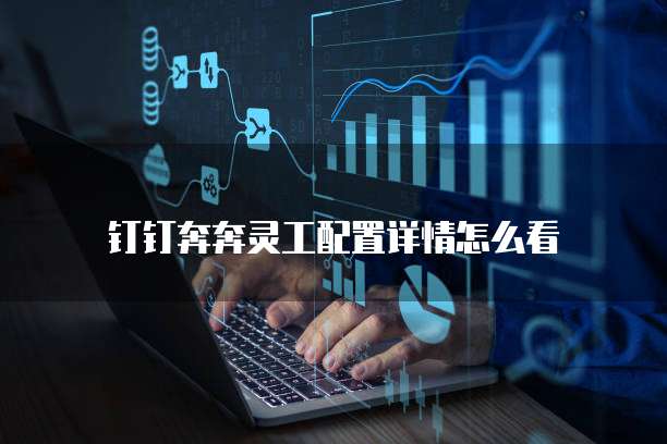 钉钉奔奔灵工配置详情怎么看