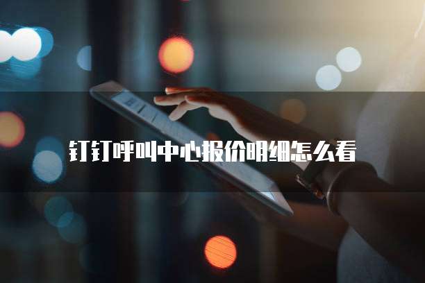 钉钉呼叫中心报价明细怎么看