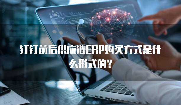 钉钉前后供应链ERP购买方式是什么形式的?