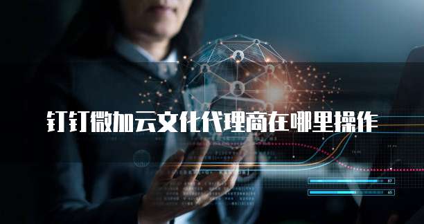 钉钉微加云文化代理商在哪里操作