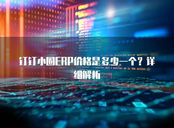 钉钉小圈ERP价格是多少一个?详细解析