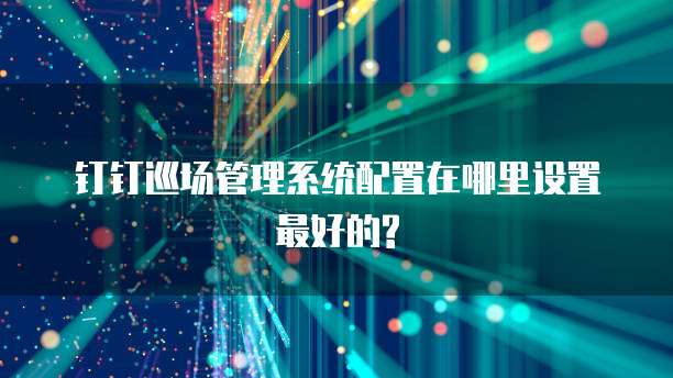 钉钉巡场管理系统配置在哪里设置最好的?