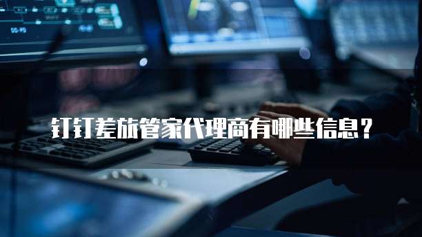 钉钉差旅管家代理商有哪些信息?