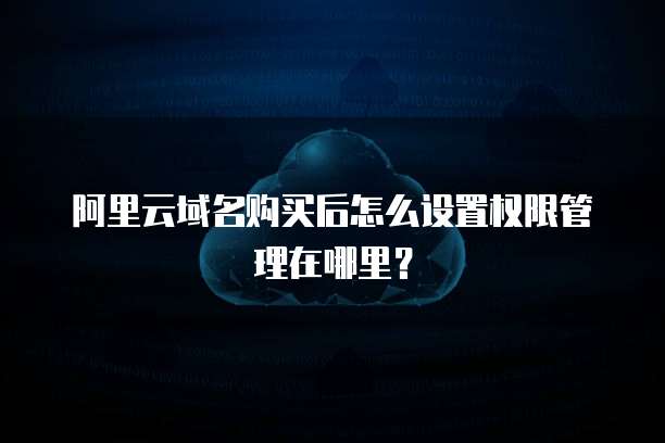 阿里云域名购买后怎么设置权限管理在哪里?