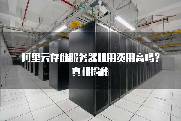 阿里云存储服务器租用费用高吗?真相揭秘