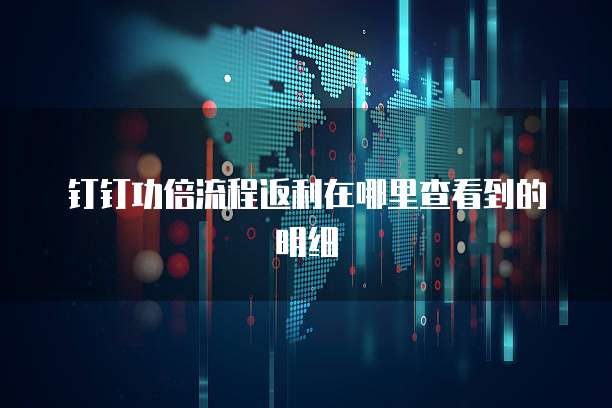 钉钉功倍流程返利在哪里查看到的明细