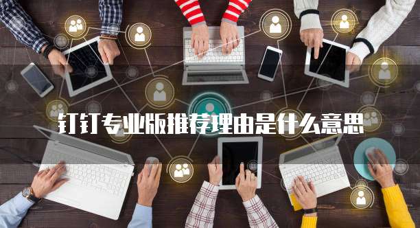 钉钉专业版推荐理由是什么意思