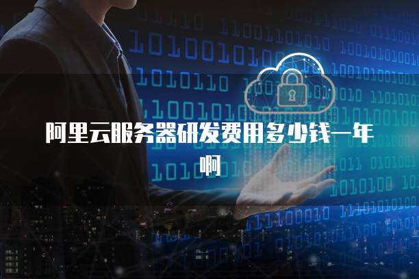 阿里云服务器研发费用多少钱一年啊