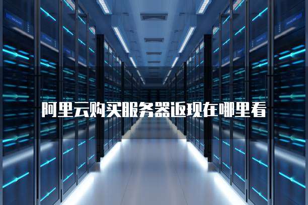 阿里云购买服务器返现在哪里看