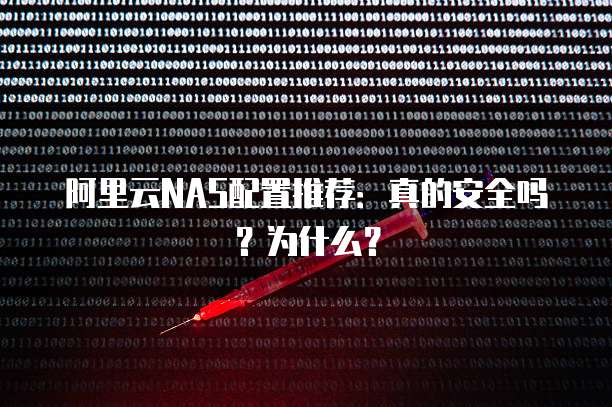 阿里云NAS配置推荐:真的安全吗?为什么?