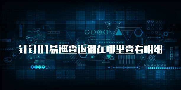 钉钉B1易巡查返佣在哪里查看明细