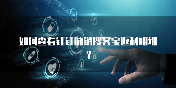如何查看钉钉励销搜客宝返利明细？