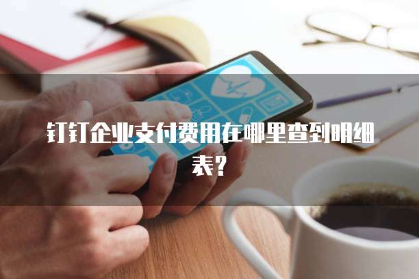 钉钉企业支付费用在哪里查到明细表?