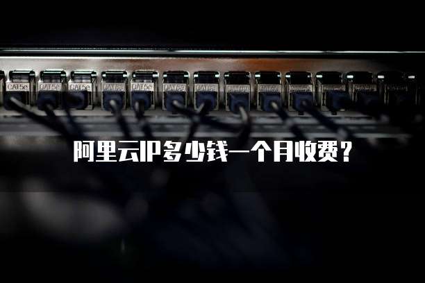 阿里云IP多少钱一个月收费?