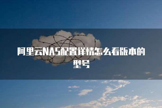 阿里云NAS配置详情怎么看版本的型号
