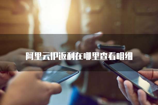 阿里云IP返利在哪里查看明细