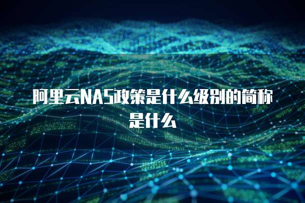 阿里云NAS政策是什么级别的简称是什么