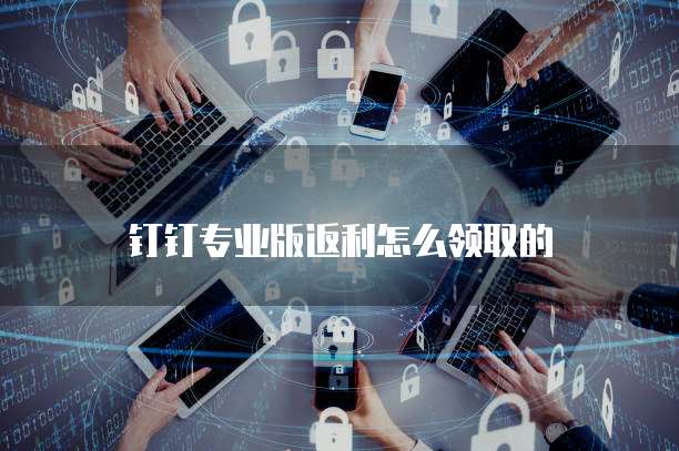 钉钉专业版返利怎么领取的