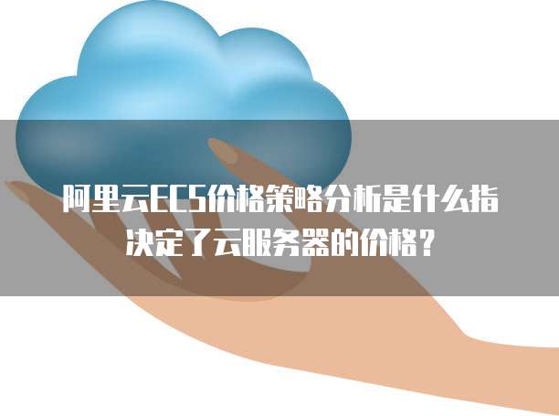 阿里云ECS价格策略分析是什么指决定了云服务器的价格？