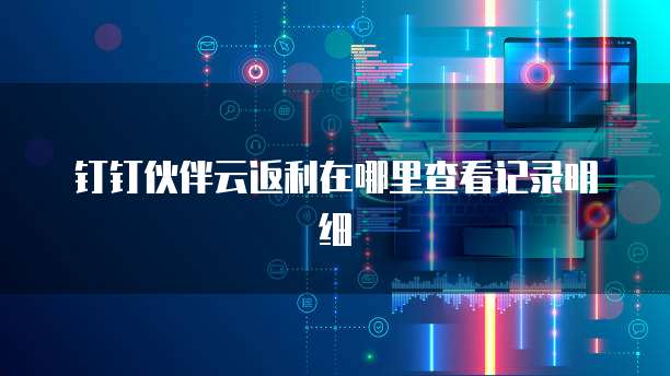 钉钉伙伴云返利在哪里查看记录明细