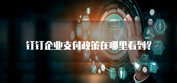 钉钉企业支付政策在哪里看到?