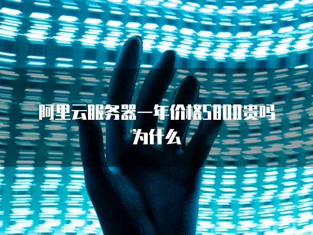 阿里云服务器一年价格5800贵吗为什么