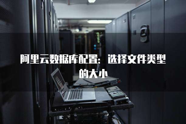 阿里云数据库配置:选择文件类型的大小