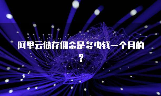 阿里云储存佣金是多少钱一个月的?