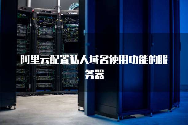 阿里云配置私人域名使用功能的服务器