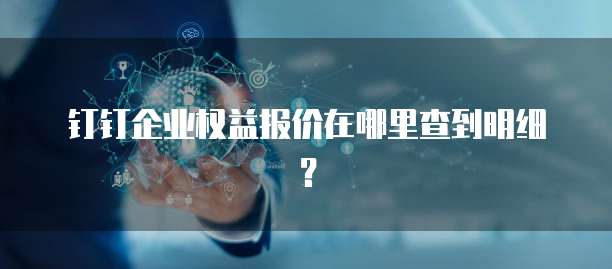 钉钉企业权益报价在哪里查到明细？