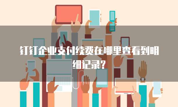 钉钉企业支付续费在哪里查看到明细记录?